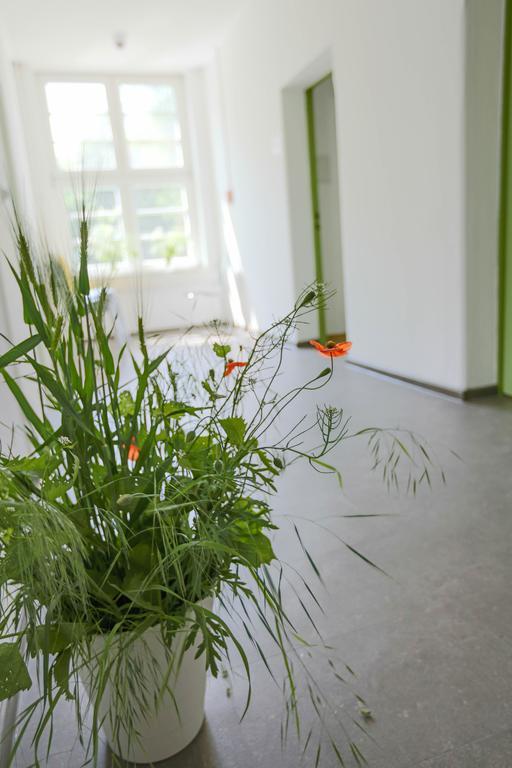 Family Inn Herberge Hildesheim Extérieur photo